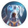 Rank Indicator